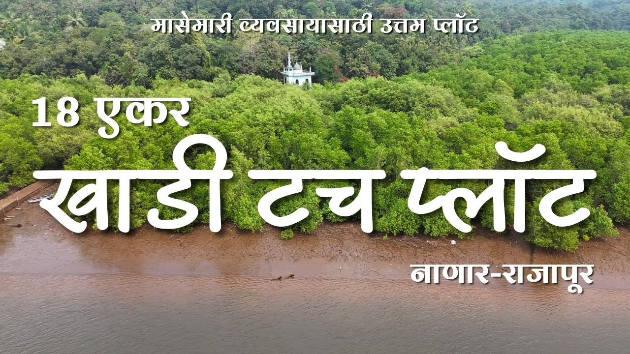 🌴 18 Acre Khadi Touch Agricultural Land | Nanar, Rajapur | Fish & Prawn Farming Paradise #realestate