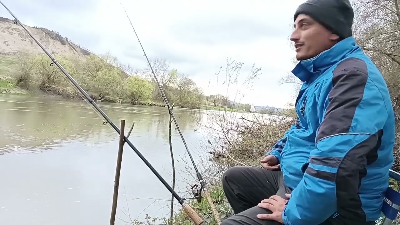 Pescuit la mreana pe raul Mures - cum se prinde mreana primavara locuri de pescuit momeli si ponturi