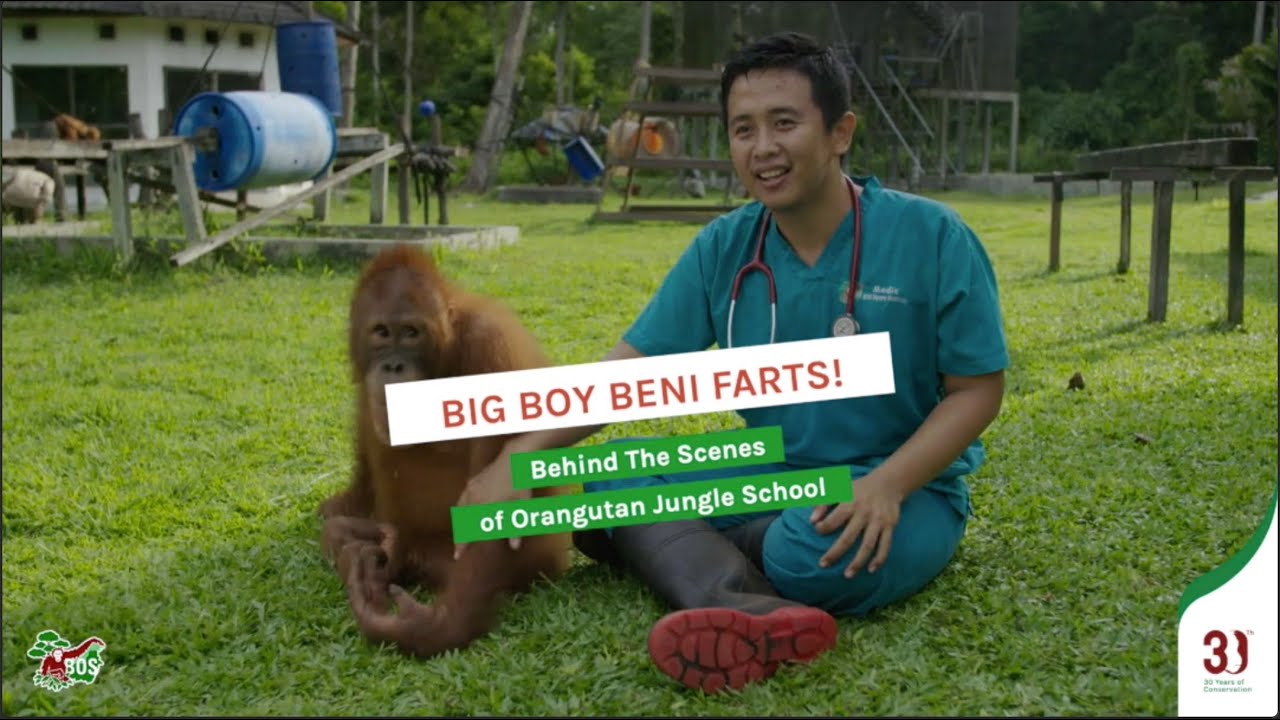 BIG BOY BENI FARTS!