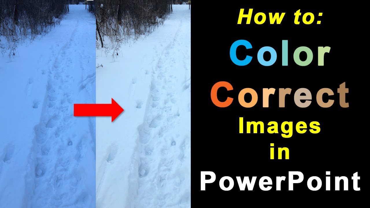 How to Color Correct Images in PowerPoint!