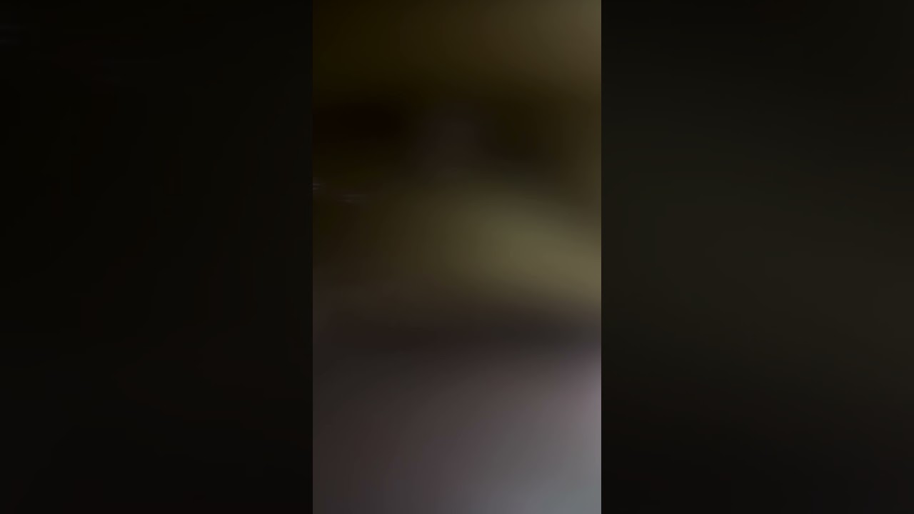 صفاء الذهن وعيش اللحظة و الامتنان 