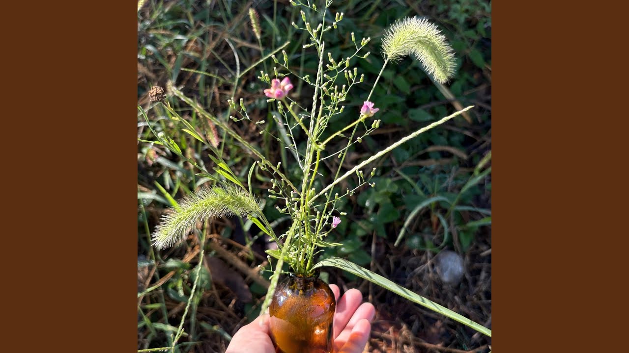野草花を知ると 景色が変わる