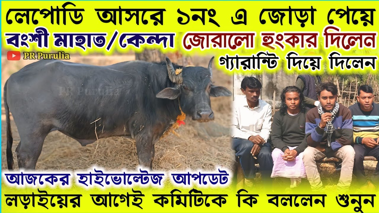 কেন্দা/বংশী মাহাত জোরালো হুংকার দিলেন★লেপোডি আসরে ১নং এ জোড়া পেয়ে★আজকের হাইভোল্টেজ আপডেট।