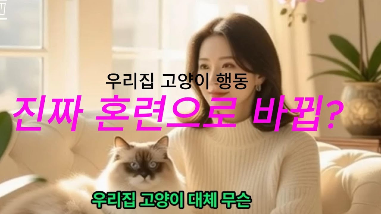 고양이가 진짜 훈련이 될까? 뇌를 알면 재주까지 넘는 놀라운 비밀! 🐱🎓#고양이훈련 #고양이뇌 #RichCat79 #집사꿀팁 #ai미디오 #@RichCat79