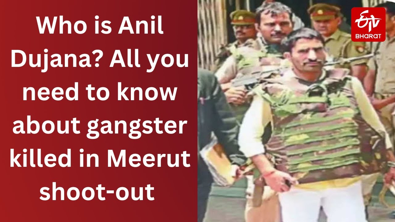 Who is Anil Dujana? All you need to know about gangster killed in Meerut shoot-out | ETV Bharat
