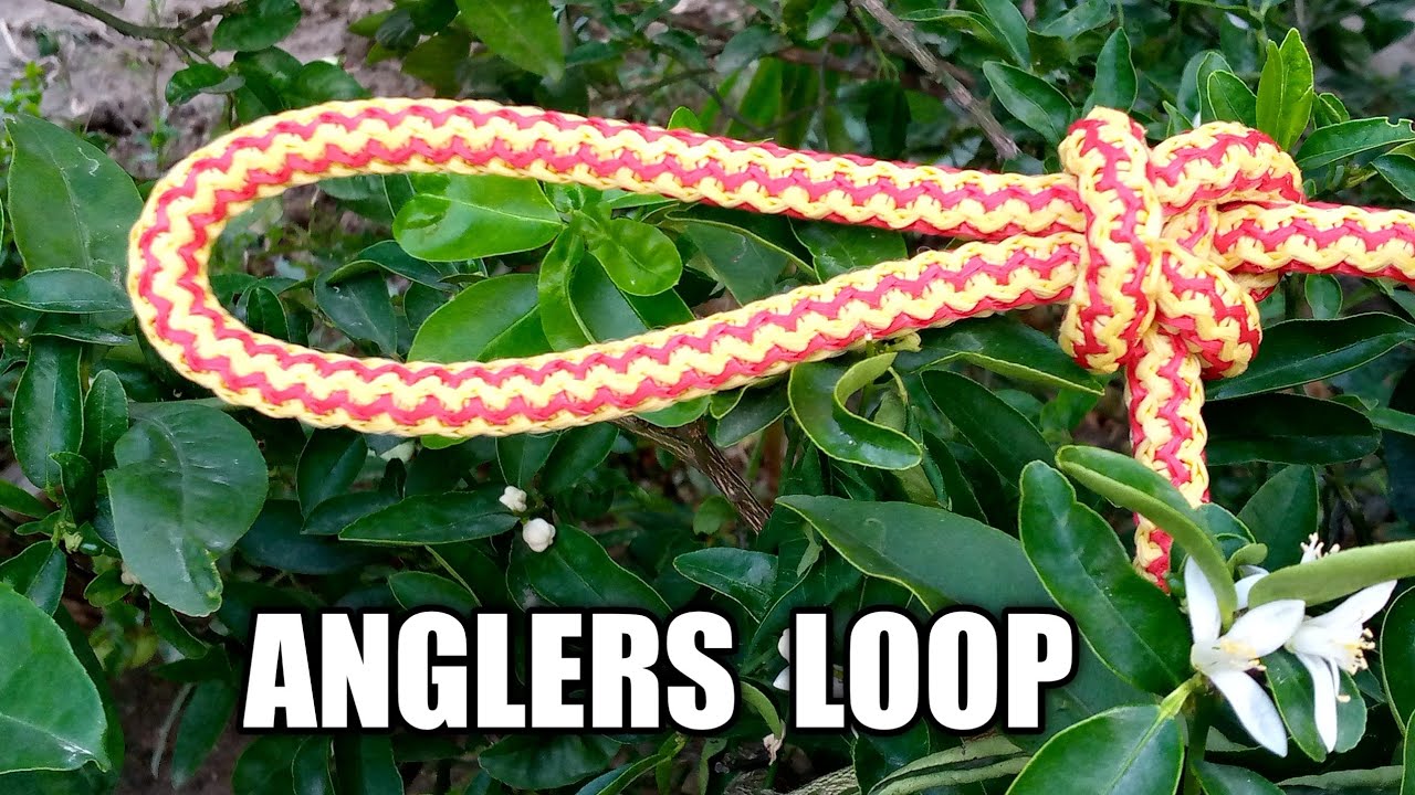How to tie a Anglers loop knot|very easy#anglers loop knot,