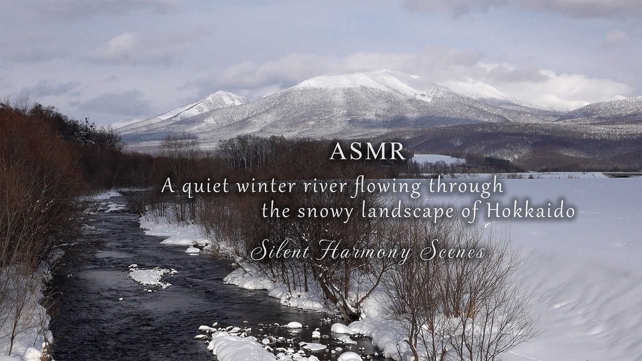 3 Hours Snowy River Sounds in Hokkaido - Birdsong and Flowing Water | Winter Nature ASMR