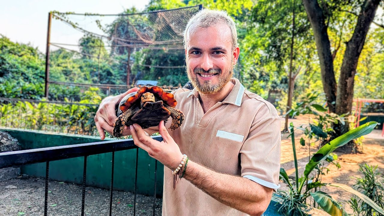 VLOG au parc zoologique de Brazzaville ! 🇨🇬