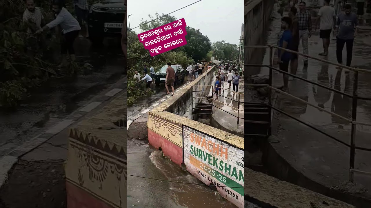 #bhubaneswar #viral #viralvideo #rain #odisha #yoytubeshorts