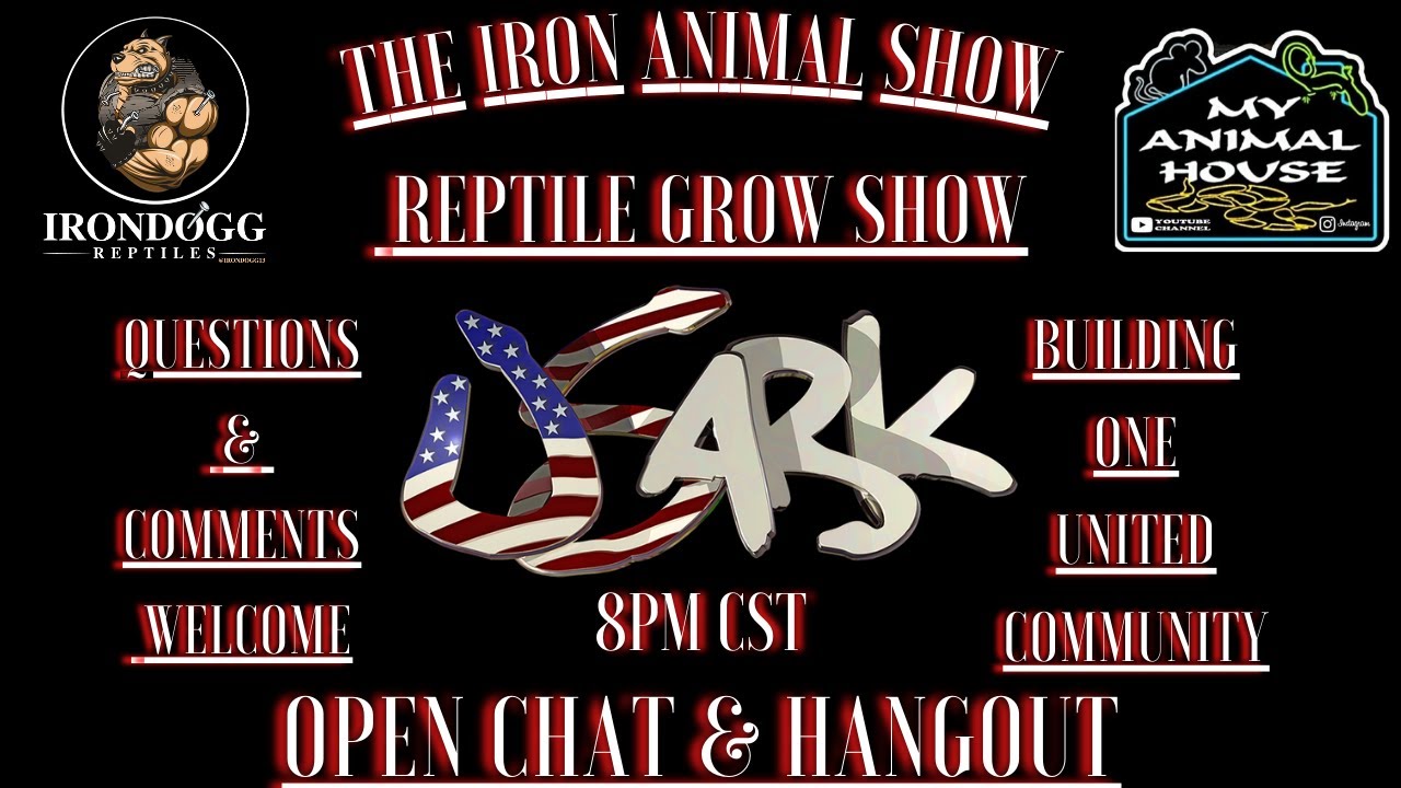 The Hottest Reptile Livestream On YouTube  | Ask Questions | Come Grow Your Channel | Hangout