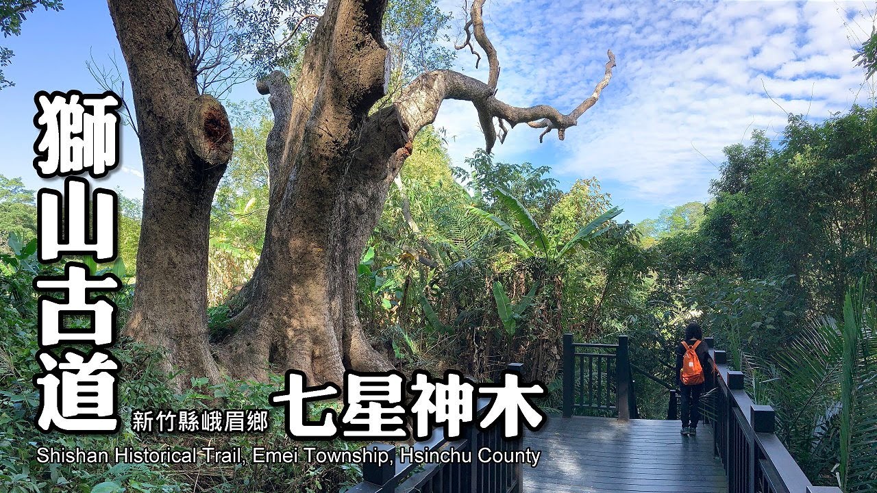 獅山古道訪古廟．七星神木超驚艷!!! (Shishan Historical Trail)