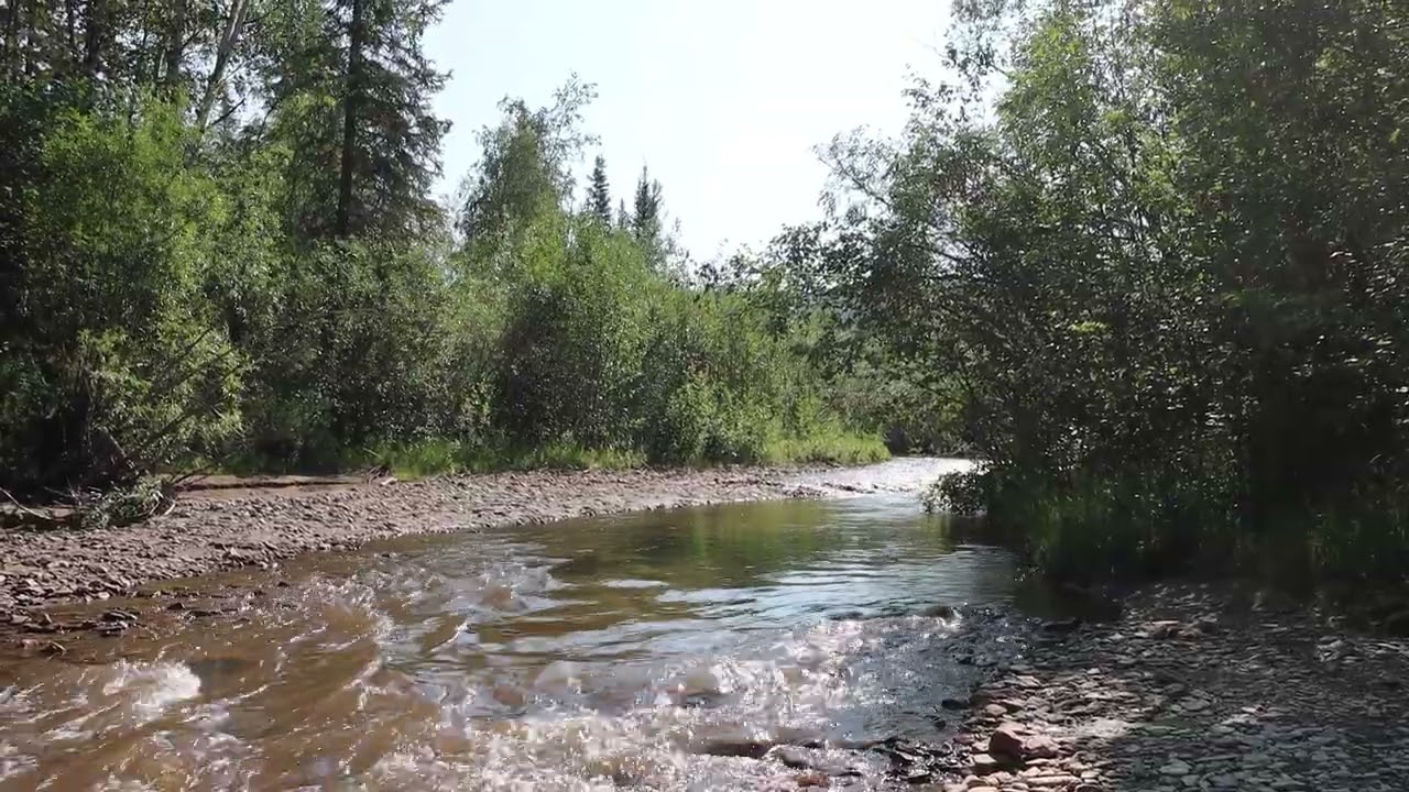 6 - Discovery Site 1, Bonanza Creek, Dawson City, Yukon