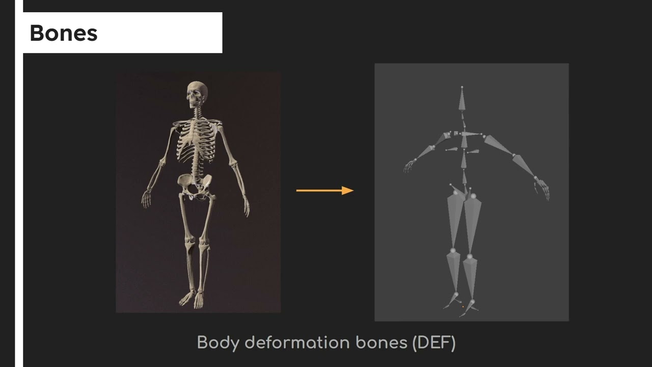 Tutorial 2 - Constraints + Deformation Rig Workshop - INFR 3390