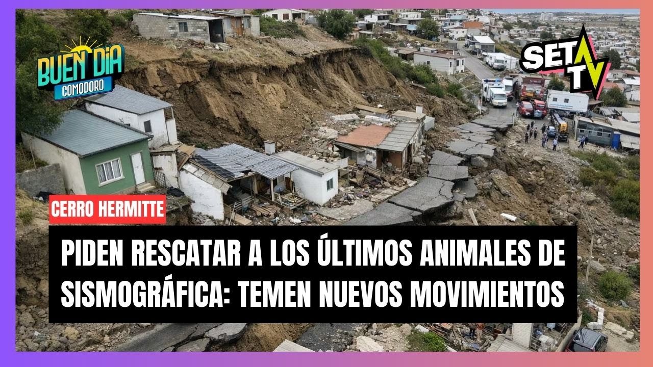 PIDEN con URGENCIA rescatar a los últimos animales en SISMOGRÁFICA: temen nuevos movimientos