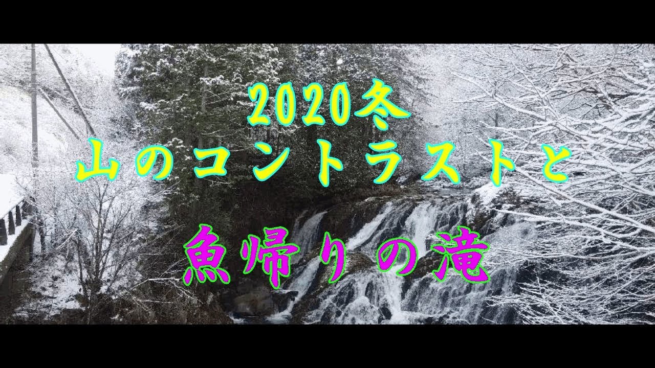 冬の山のコントラストと魚帰りの滝　高山市荘川町（飛騨高山）