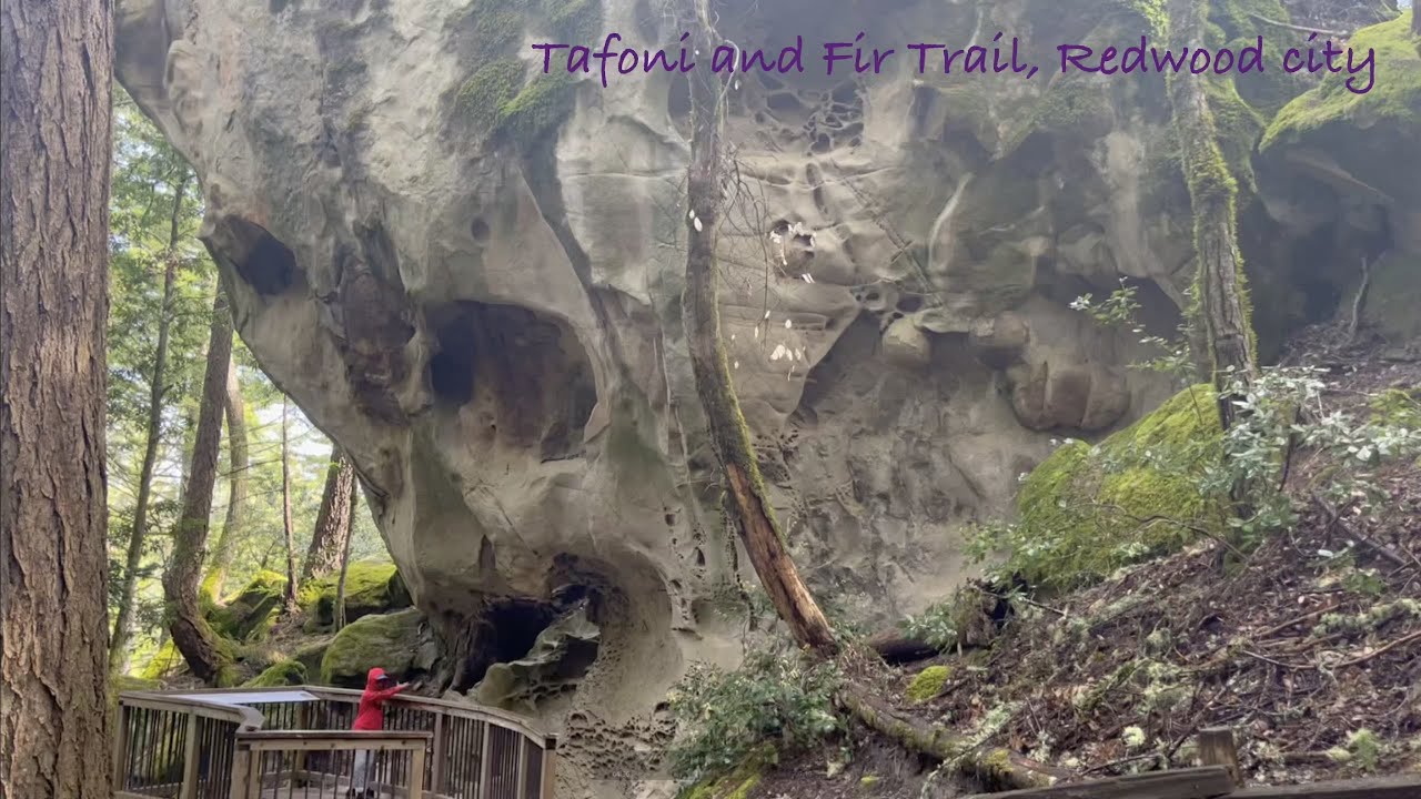 Tafoni and Fir Trail
