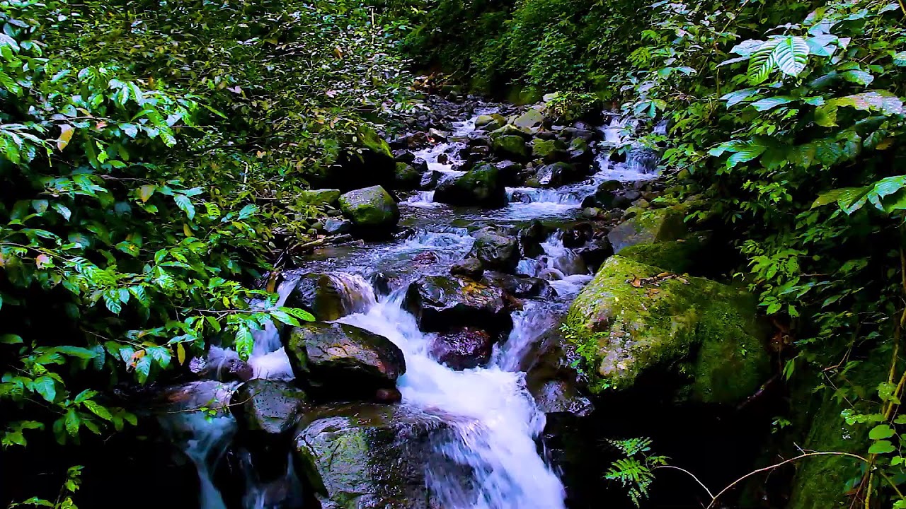 Peaceful Focus Sessions with Continuous Mountain River Water Flow and White Noise