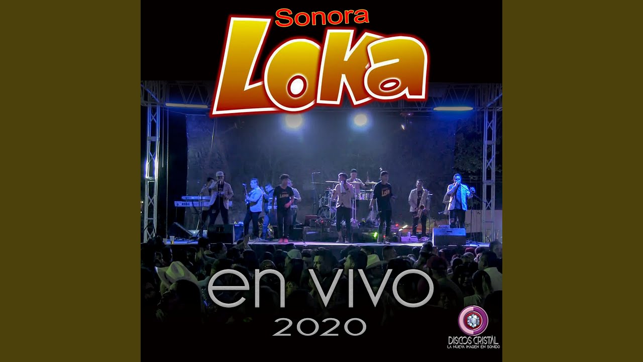Bongocero a la Bola (En Vivo)