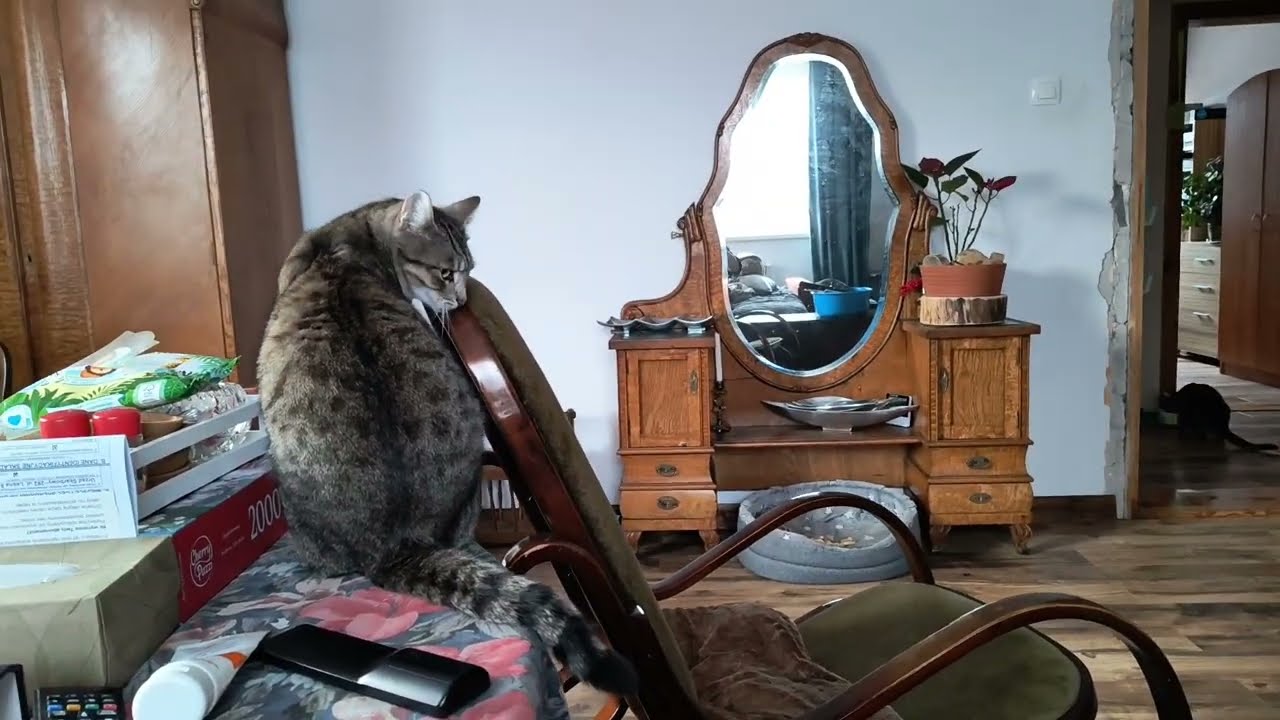 Mia i Milo