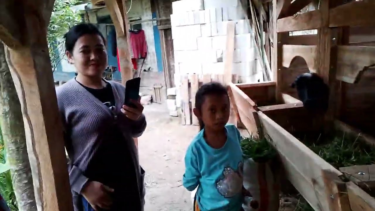 PEJANTAN BIG 100KG KE CAMPAKA WARNA CIANJUR