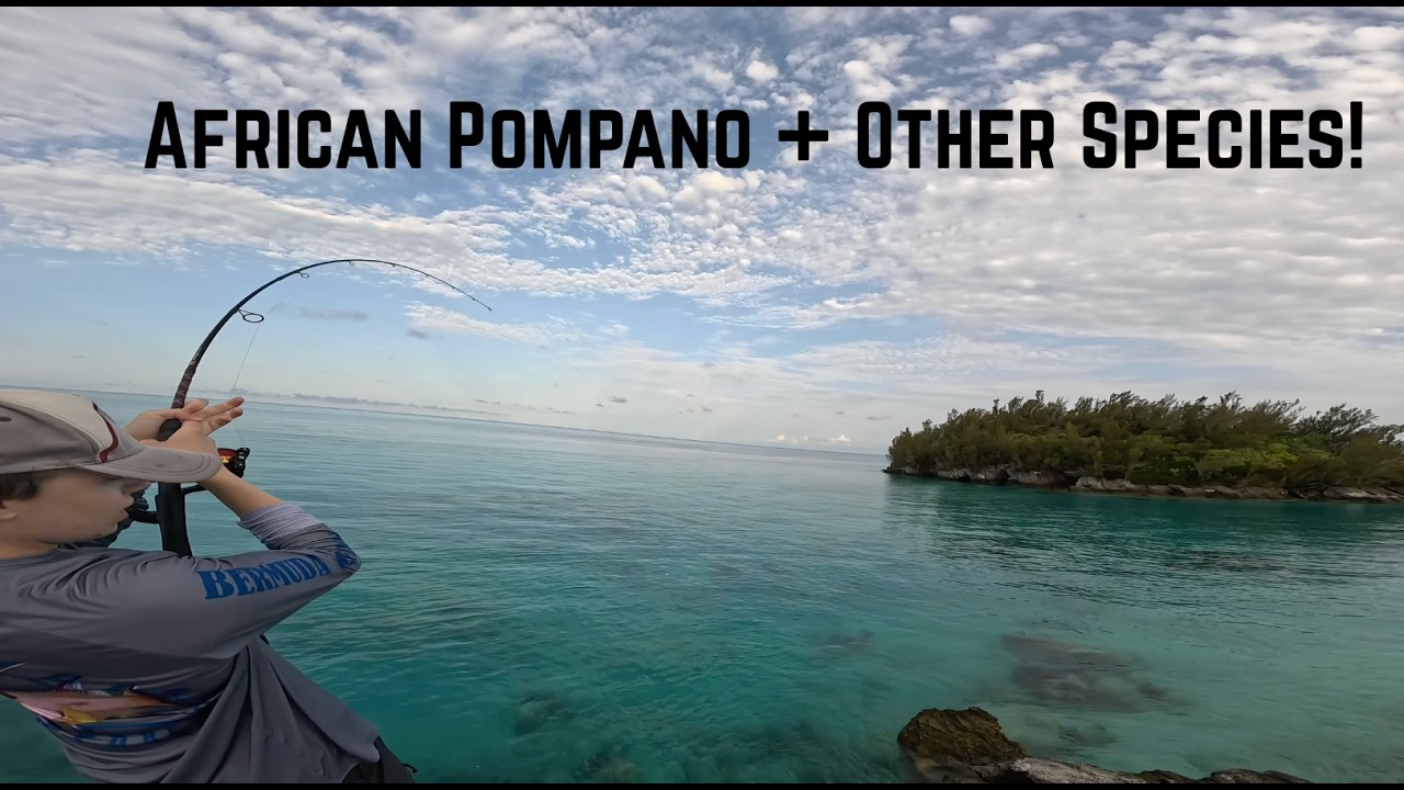 We Hooked Bermuda's Most ELUSIVE Fish....