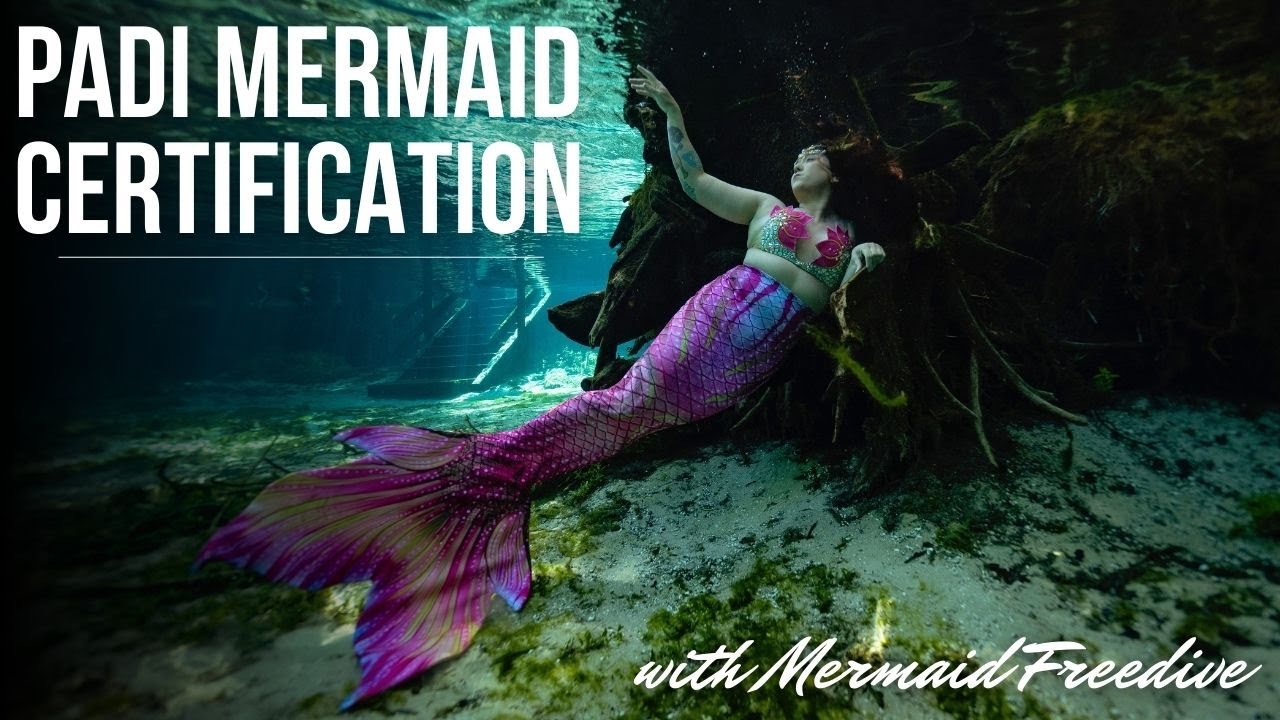 Mermaid Training - Becoming a PADI Certified Mermaid with Mermaid Freedive!