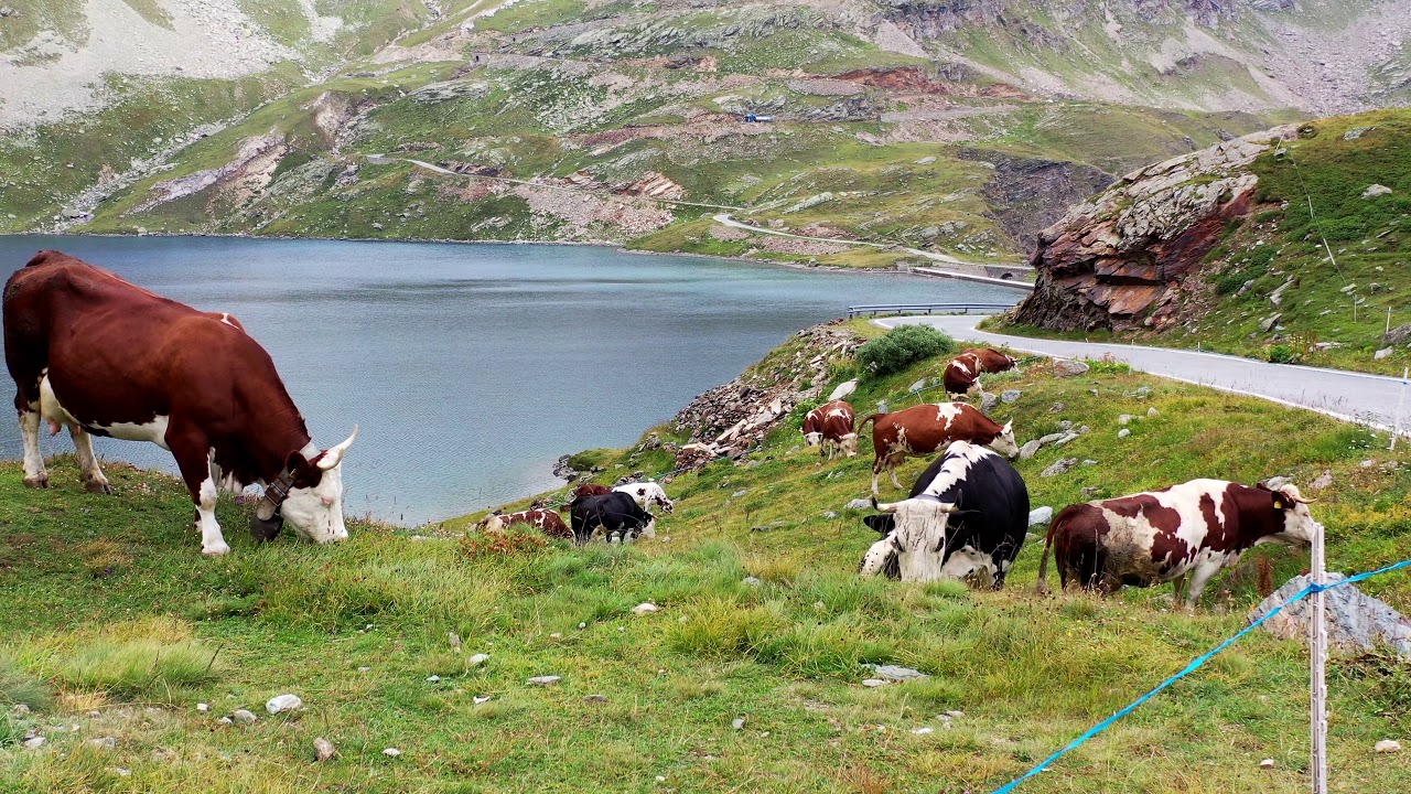 Parco Nazionale del Gran Paradiso