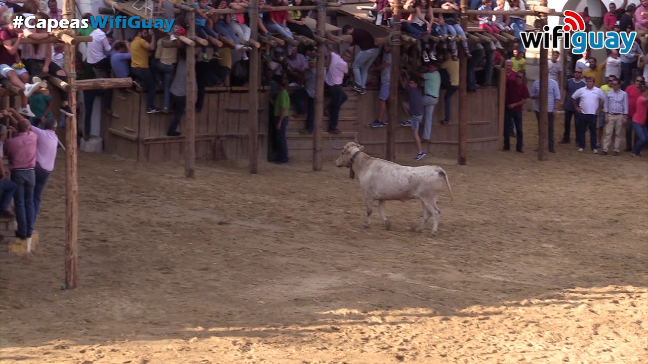 Capea d&iacute;a 6 - 18 SEPTIEMBRE | Capeas Segura de Le&oacute;n 2018