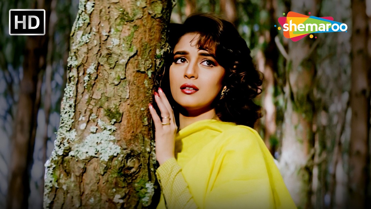 Humse Sajana Kyon Ruthe | Dil Tera Aashiq (1993) | Salman Khan, Madhuri Dixit | Alka Yagnik