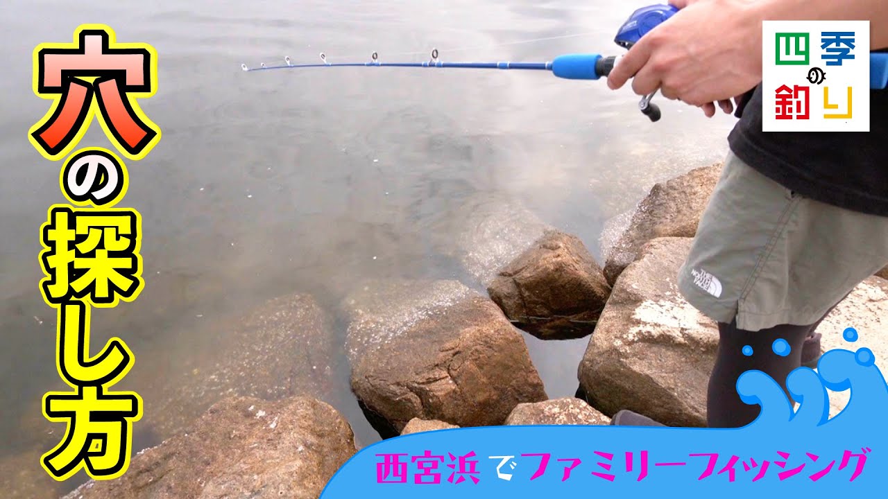 西宮浜でファミリーフィッシング　手軽に釣りを楽しもう！（四季の釣り/2024年7月12日放送）