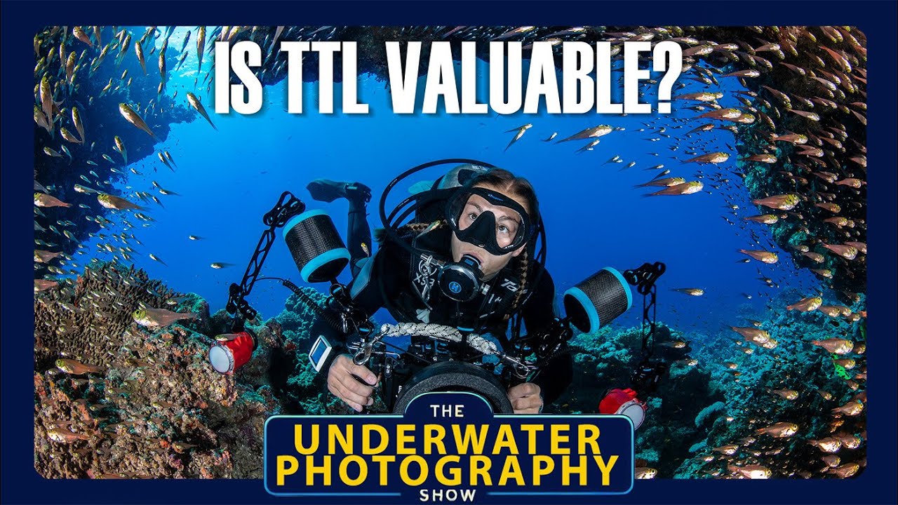 When To Use TTL In Underwater Photography