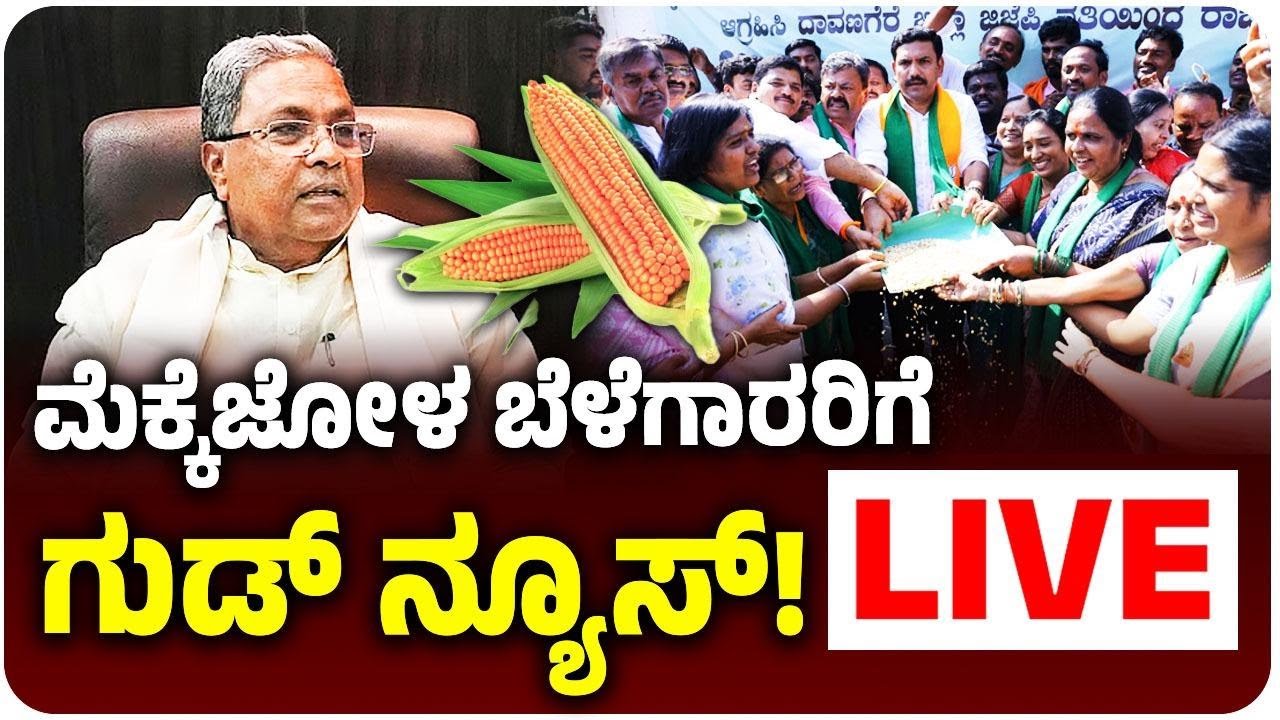 Vijay Karataka Live : ರಾಜ್ಯದ ಮೆಕ್ಕೆಜೋಳ ಬೆಳೆಗಾರರಿಗೆ ಬಂಪರ್‌ ಗಿಫ್ಟ್‌ ಕೊಟ್ಟ ಸಿದ್ದರಾಮಯ್ಯ ಸರ್ಕಾರ!