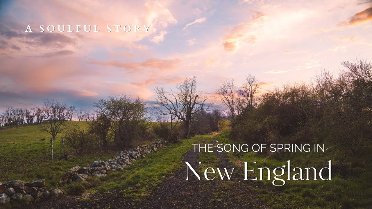 SPRING IN NEW ENGLAND 🌸 Watching the Earth come to life