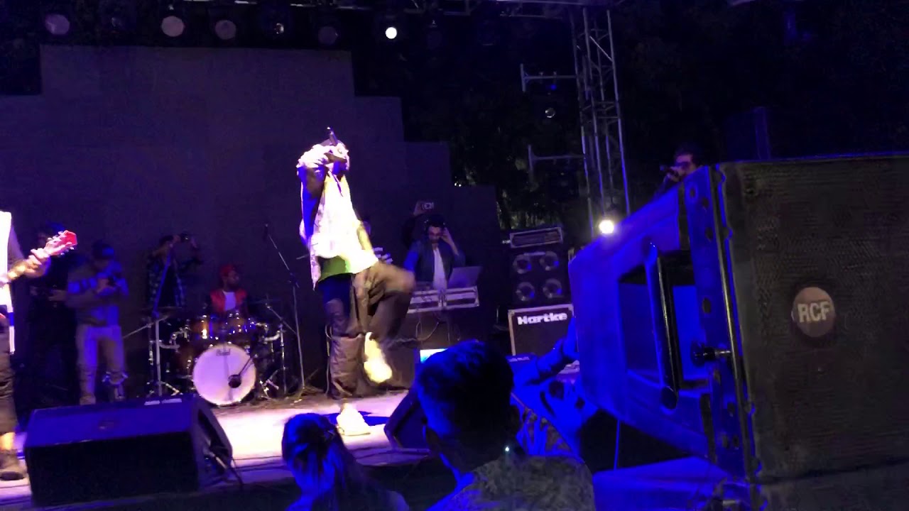 BOHEMIA | Kali Denali | Live at Jaipur
