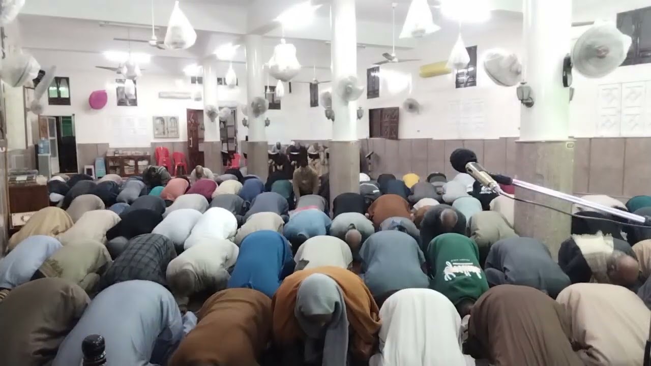 ٢٧ فبراير ٢٠٢٦