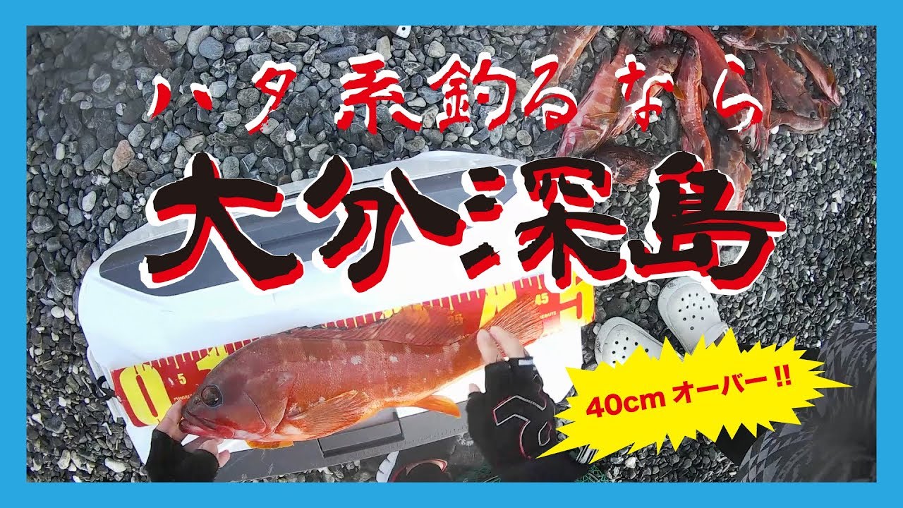 【再び40cmオーバー!! ハタ系釣るなら大分深島!!】SOTvol,25
