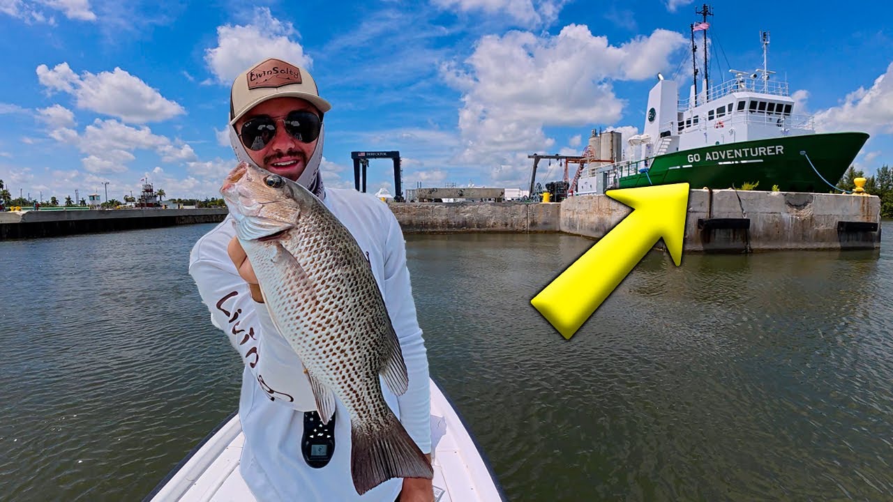 Fishing a GIANT Shipyard for a Snapper Dinner | Catch and Cook