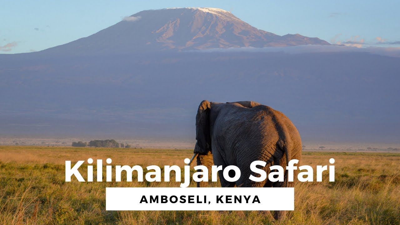 A family trip to Amboseli National Park, Kenya with epic views of the majestic Kilimanjaro