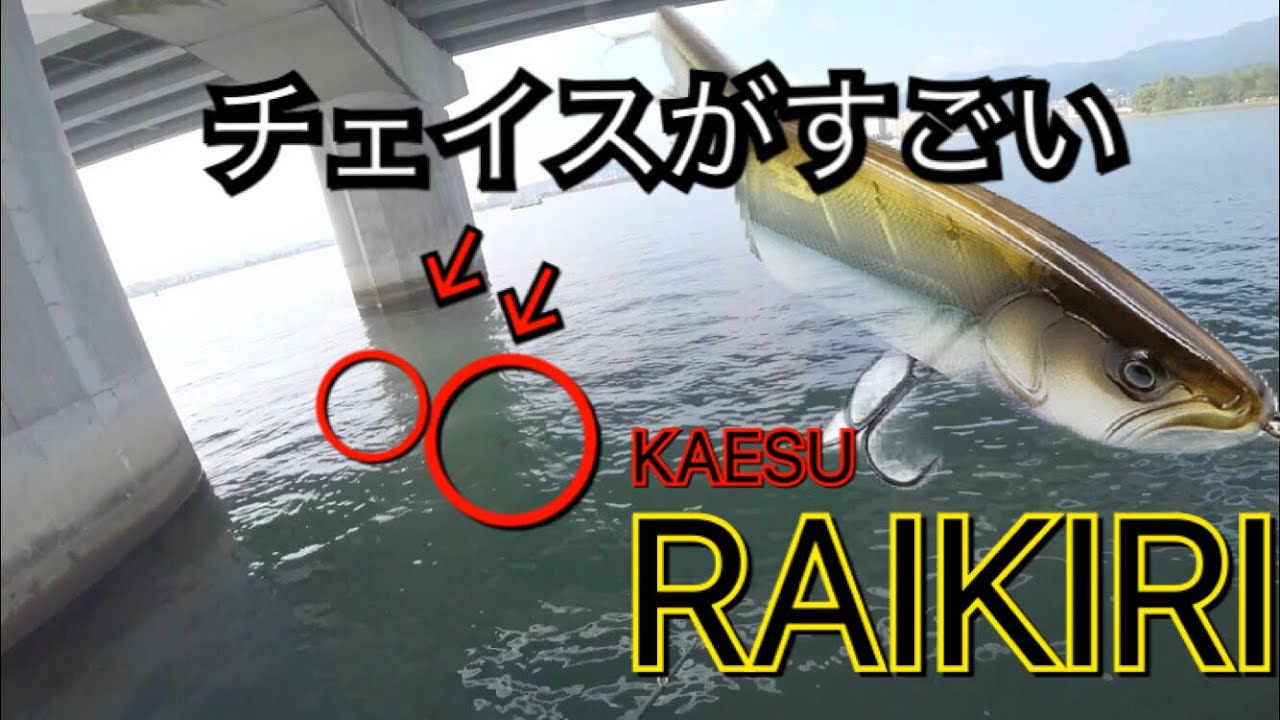 【琵琶湖/バス釣り】ドッキドキ！鳥肌が止まらない。ライキリゲーム  カエス KRK205