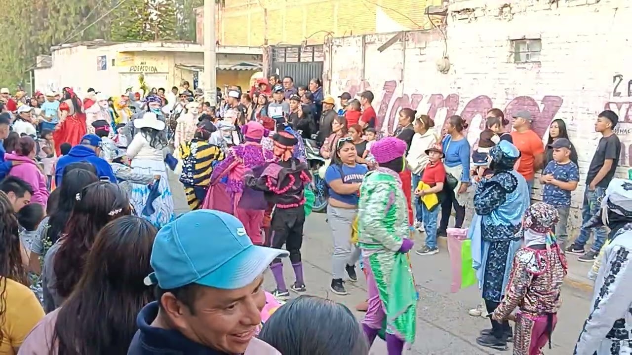 Carnaval cuanalan cuadrilla de abajo 15-feb-2026(los toros)
