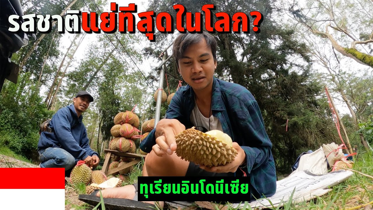 🇮🇩 EP.14 อย่าลองกินทุเรียนอินโดนีเซีย??? | Don't try to eat Durian in Indonesia