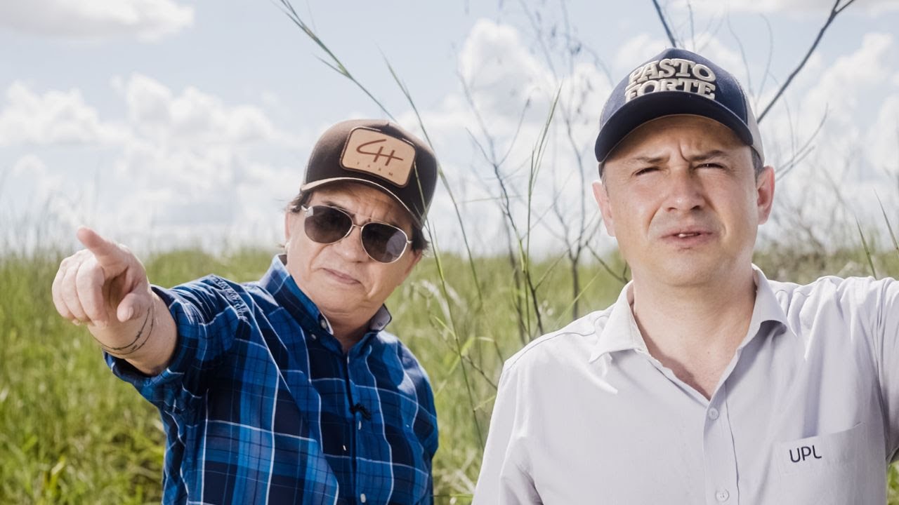 UPL Brasil + Chit&atilde;ozinho - Officina Filmes