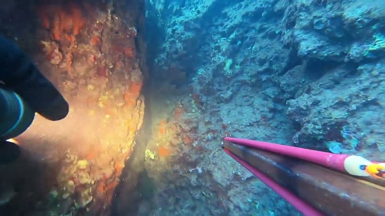 Подводная охота в средиземном море.