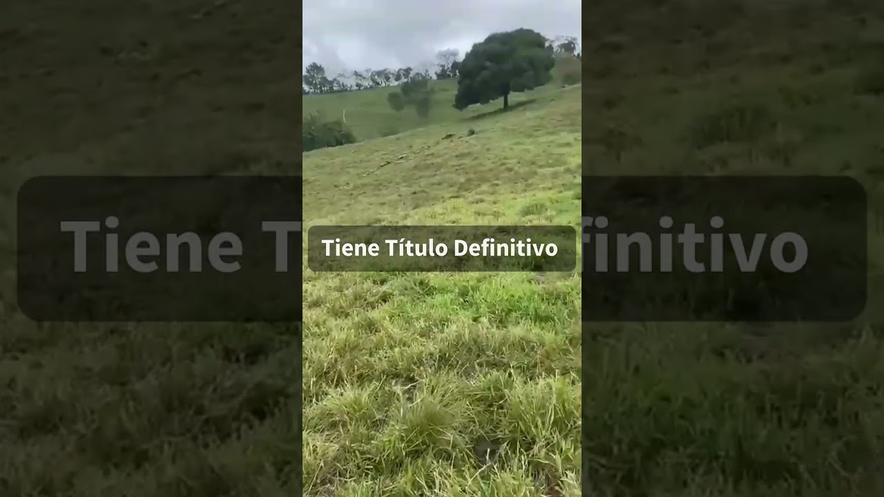 Finca Ganadera de 285 Tareas en Villa Altagracia ideal para Proyecto Ecoturístico #inmobiliariabrito