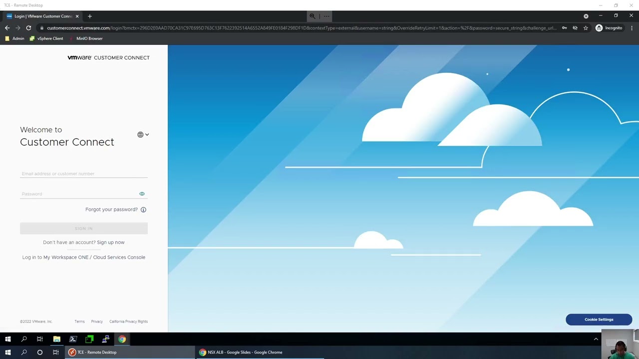 NSX ALB (aka avi) Configuration for TKG