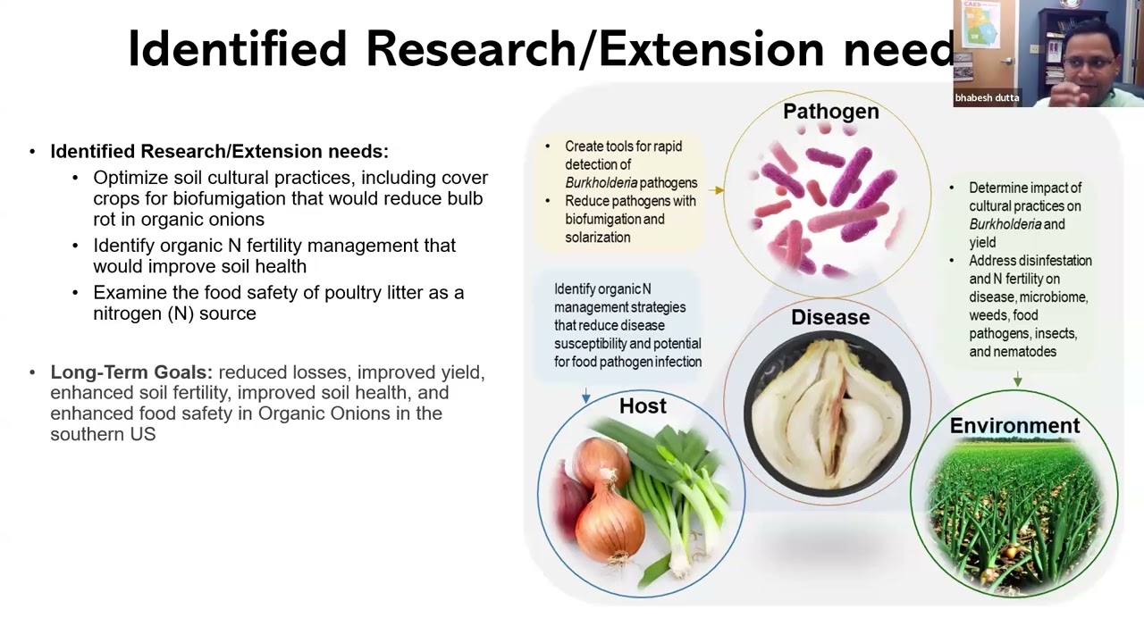 Onion IQ: Podcast: Managing Bacterial Diseases in Organic Onion