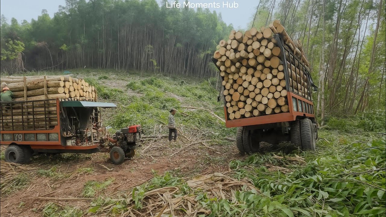 So Tài Trên Núi – Xe Độ 6 Máy Gọi Công Nông Cầu Đẩy Là Cụ