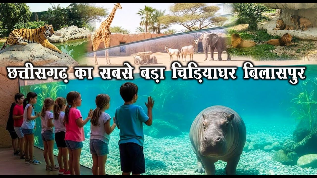 Kanan Pendari Bilaspur | Kanan Pendari Zoological Garden | Bilaspur Zoo | बिलासपुर चिड़ियाघर | Santu