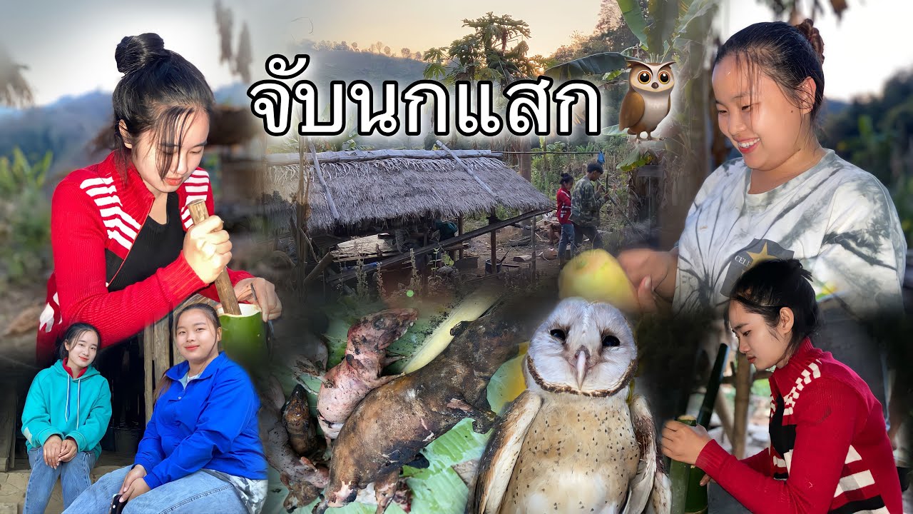 สร้างที่พักกินข้าวป่านอนป่าหนึ่งคืนกับสาวชนเผ่าเมี้ยนบรรยากาศดอยซะนำ