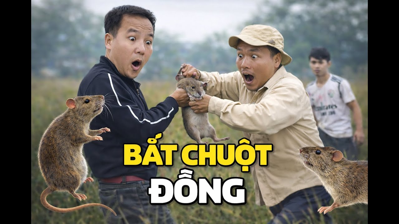 Bắt Chuột Đồng Ngoài Ruộng Vui Không Ai Ngờ